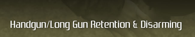 Handgun/Long Gun Retention & Disarming 