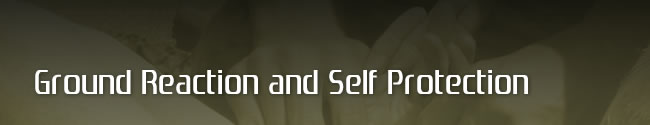 Ground Reaction and Self Protection (GRASP)  